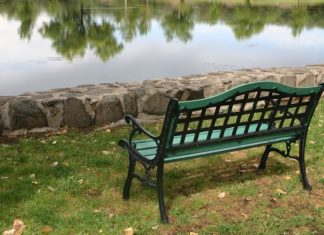 Nuova vita alla panchina 869 0 NUOVA VITA ALLA PANCHINA